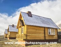 Pangong Alpine Cottage