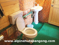 Pangong Alpine Hut Ladakh Bathroom