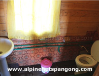 Pangong Alpine Hut Ladakh Washroom